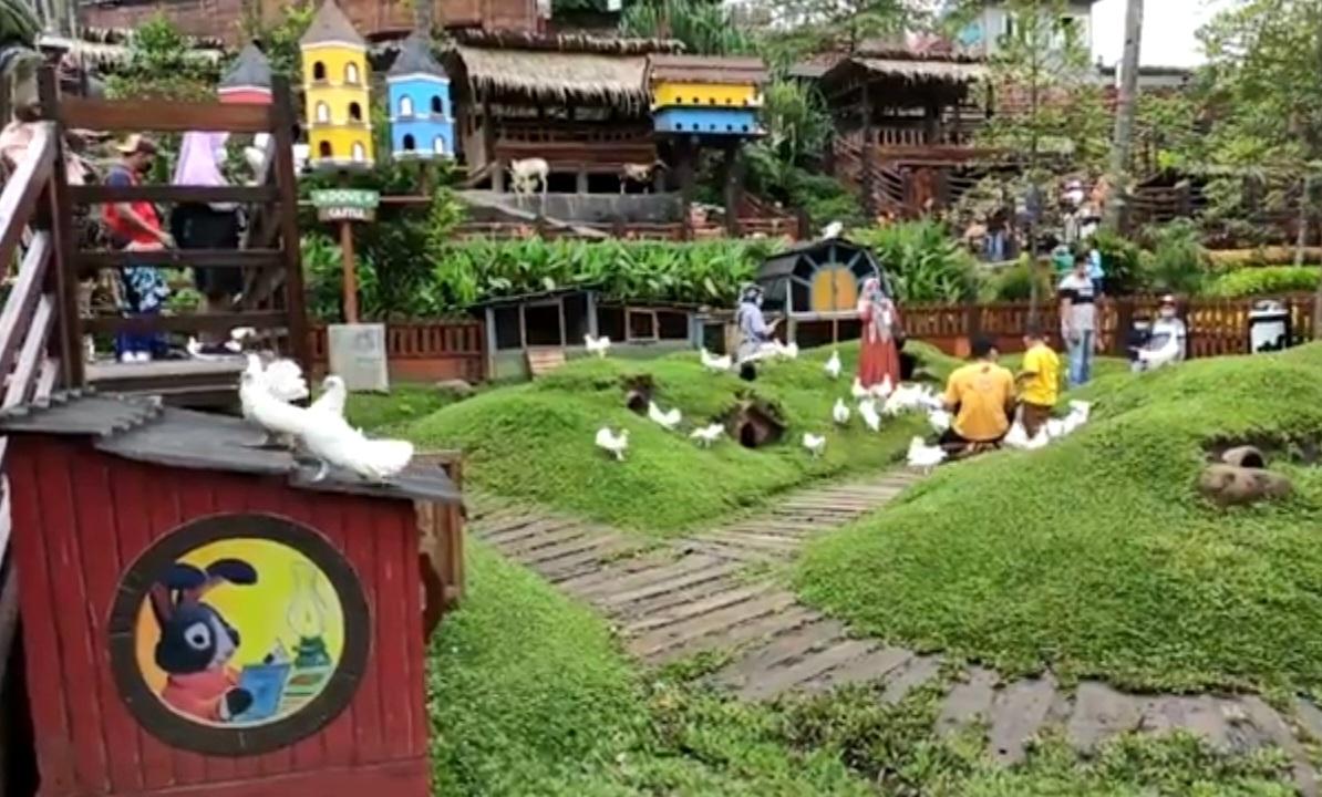 cimory